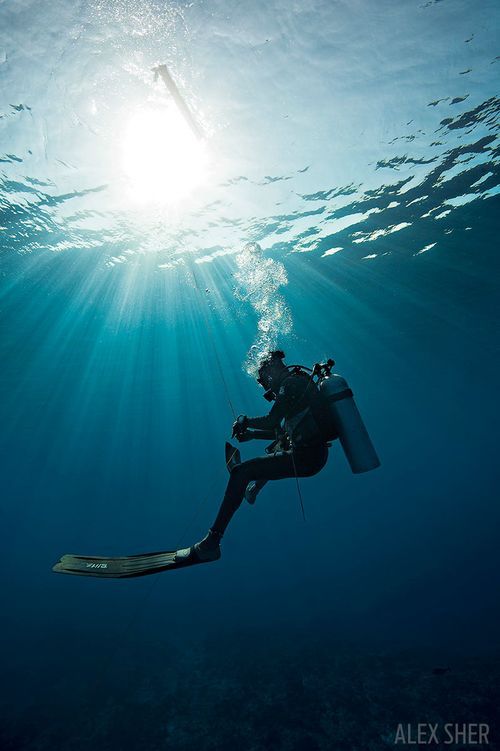 a man is diving in the ocean with his scuba gear on and he is wearing a wet suit