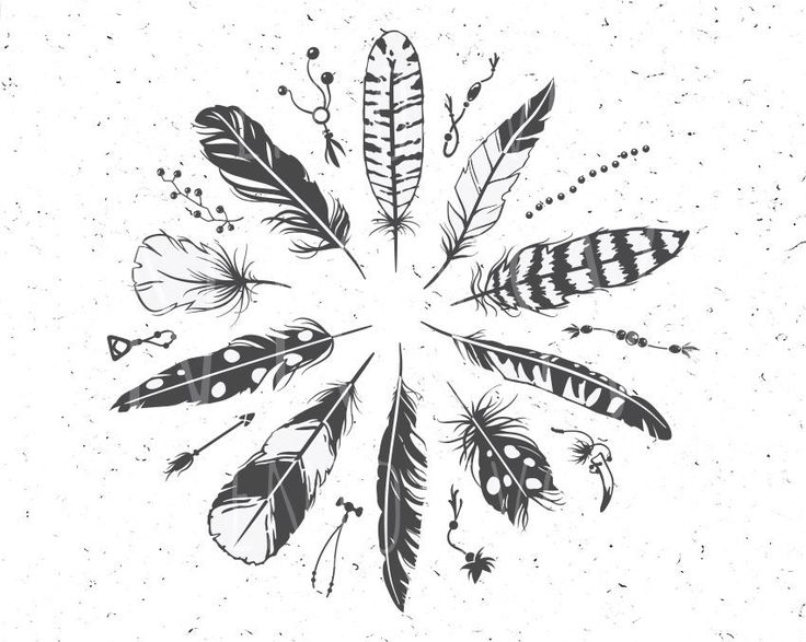 a black and white drawing of feathers