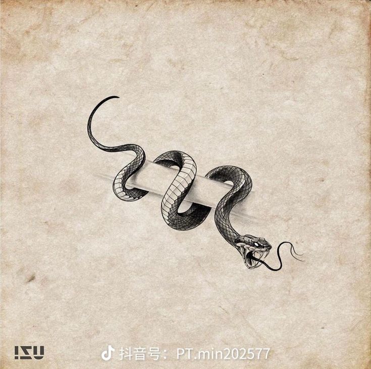 a black and white drawing of a snake