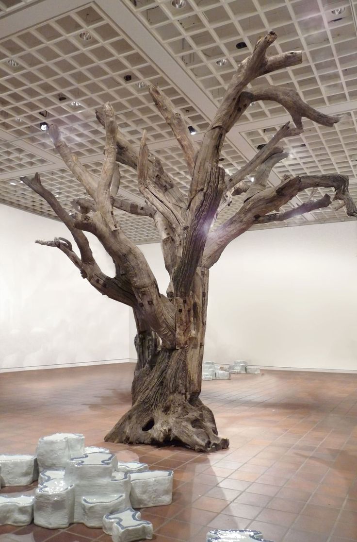 an art exhibit with white cubes on the floor and a tree in the middle