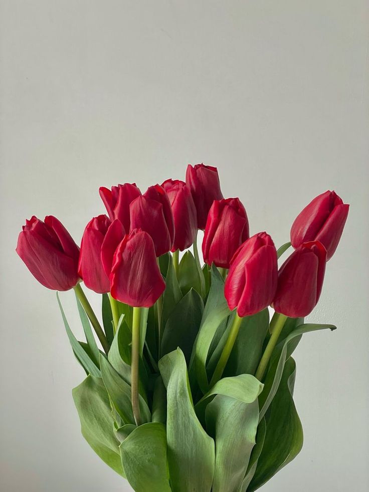 a vase filled with red flowers on top of a table