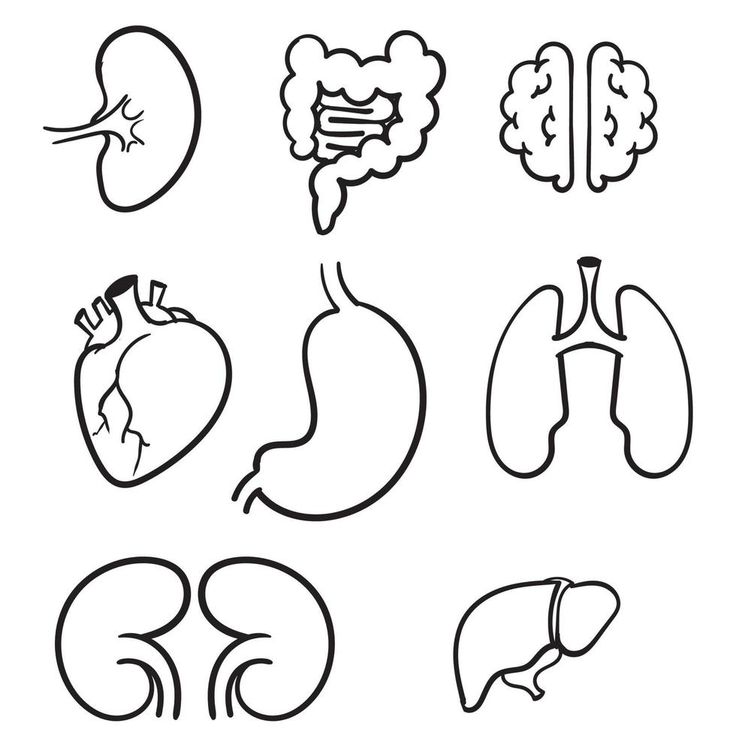 the different types of human organs in black and white