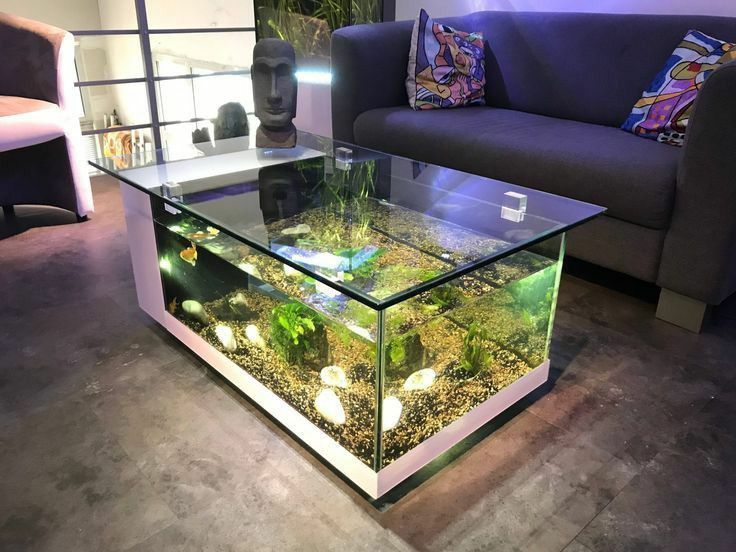 a fish tank sitting on top of a glass table in front of a purple couch