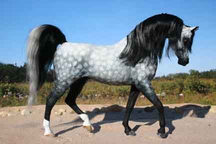 a black and white horse is walking in the sand