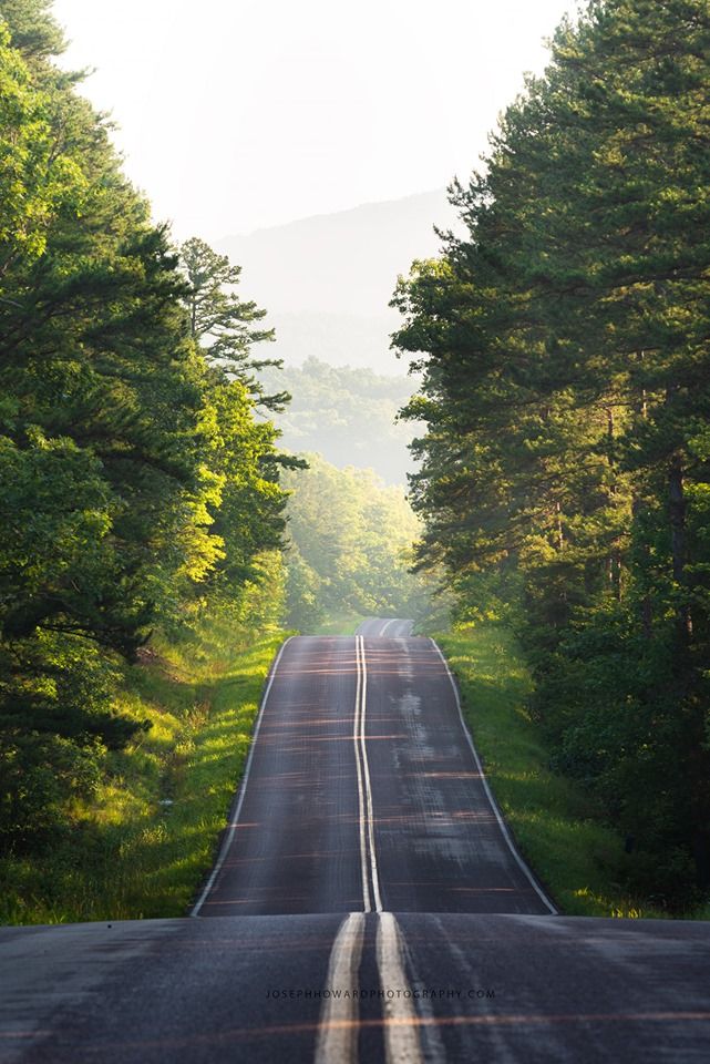 an empty road surrounded by trees in the middle of the day with sunlight coming through