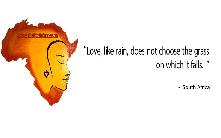 a quote from south africa about love, like rain, does not choose the grass on which it falls