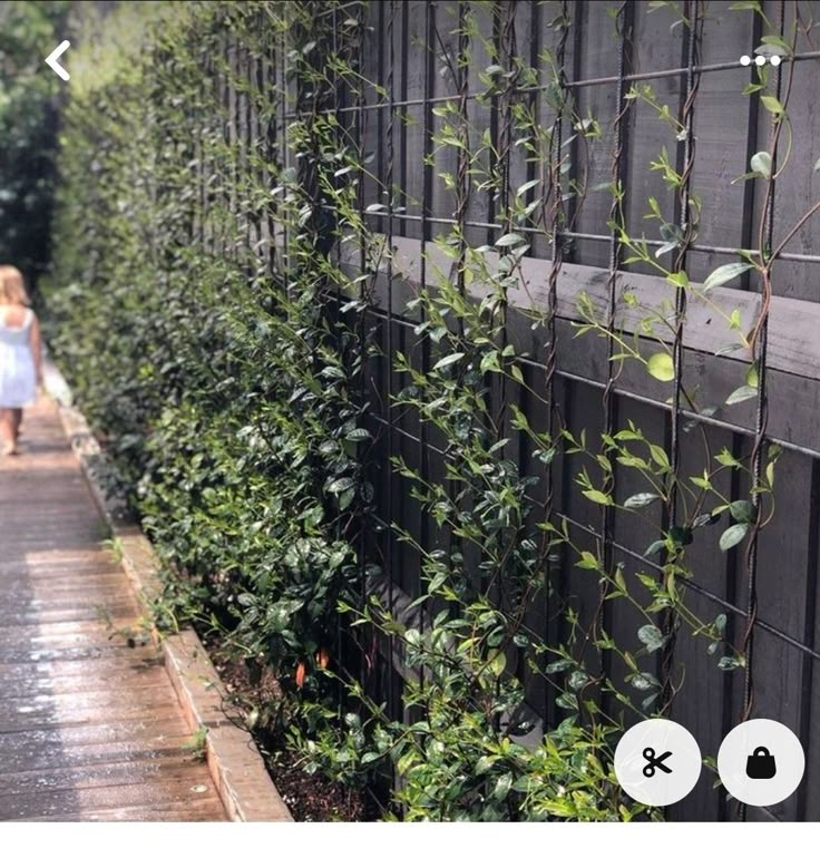 a woman walking down a sidewalk next to a tall fence covered in green plants and vines