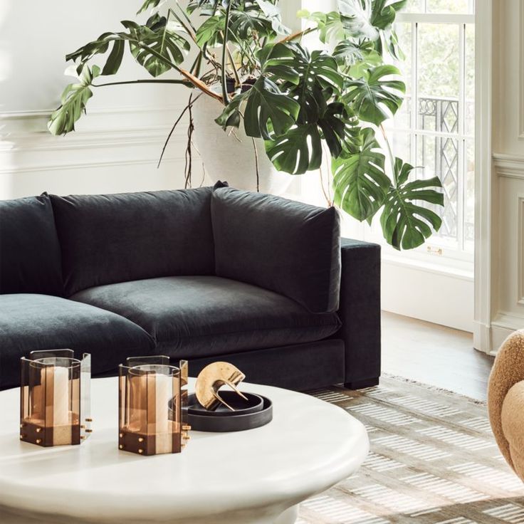 a living room filled with furniture and a potted plant