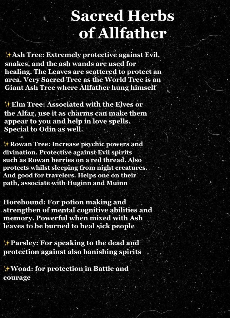 the back cover of sacred herbs of allfather, written in black and gold