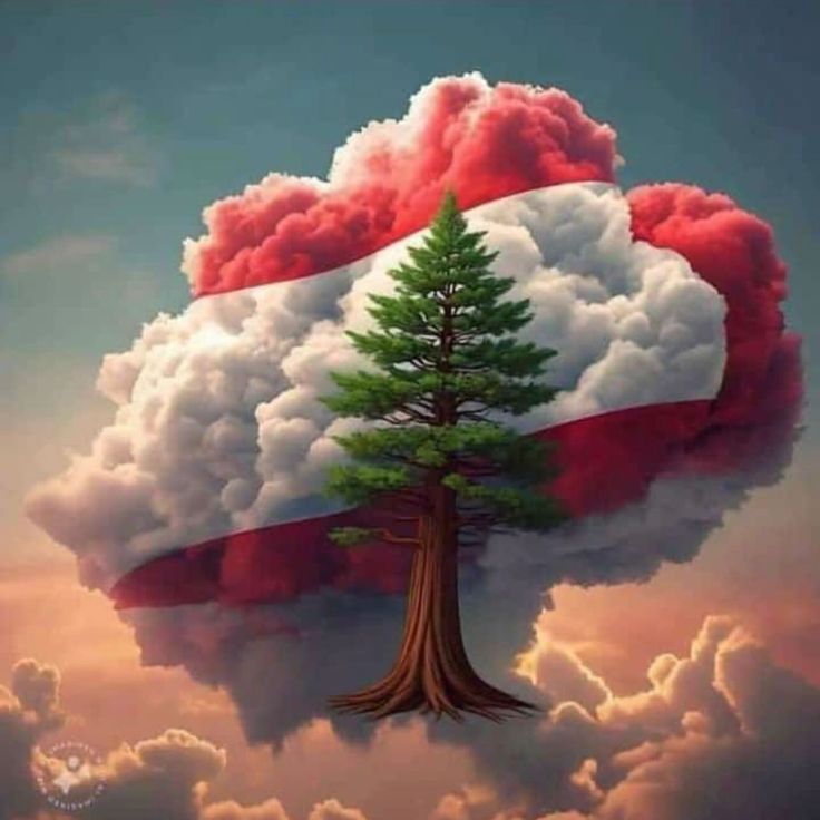 a tree in the middle of clouds with a flag painted on it's side