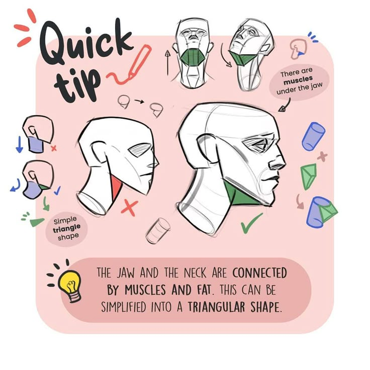 an image of quick tips to draw the human head