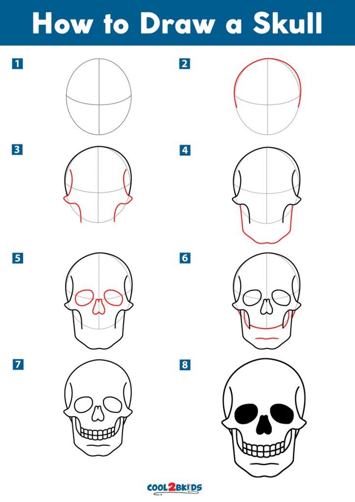 how to draw a skull step by step instructions for children and adults with pictures on it