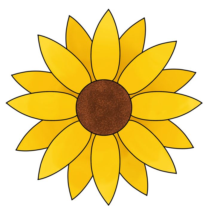 a drawing of a sunflower on a white background