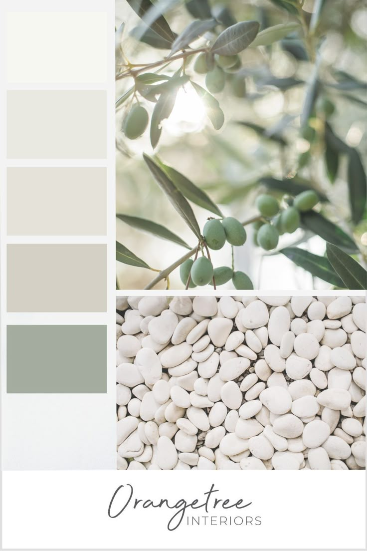 an olive tree with green leaves and white stones in the center, on top of a gray