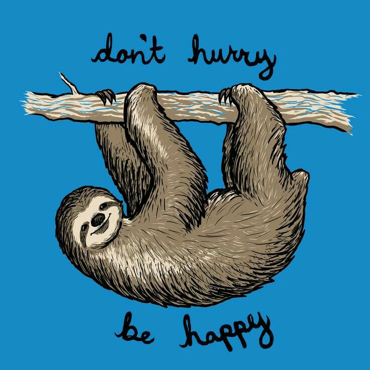 a slotty hanging on a branch with the words don't hurry be happy