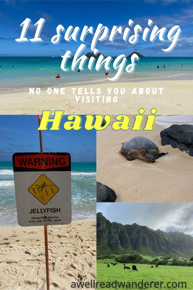 there are many different pictures with the words hawaii on it and in front of them