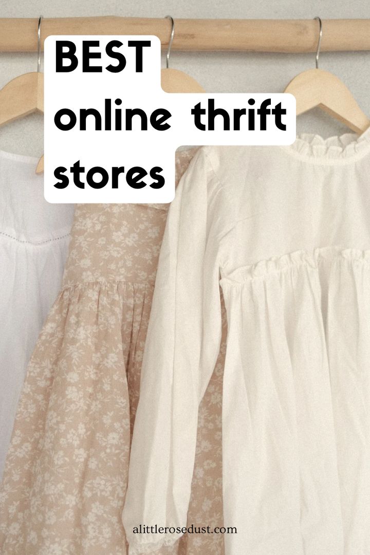 Frugal Aesthetic Outfits, Casual Thrifted Outfits, How To Thrift Shop For Clothes, Thrifting Inspo Board, Thrift Store Outfits Ideas, Thrift Finds Clothes, Places To Shop For Clothes, Best Online Thrift Stores, Thrifting Inspiration