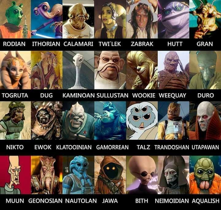 many different avatars are shown in this poster