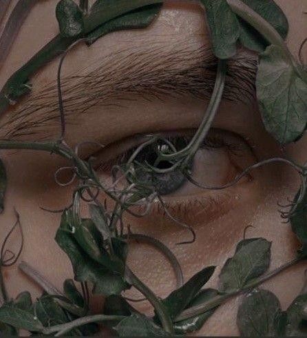 a man's eye is surrounded by leaves and vines, with the image of an eye looking into the camera