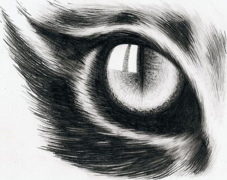 an animal's eye is shown in this black and white photo, which appears to be drawn with pencil