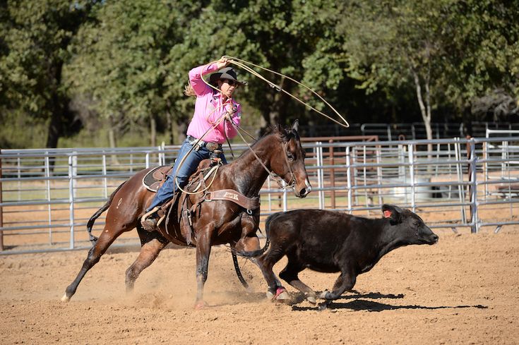 a woman in pink shirt riding on the back of a brown horse next to a cow