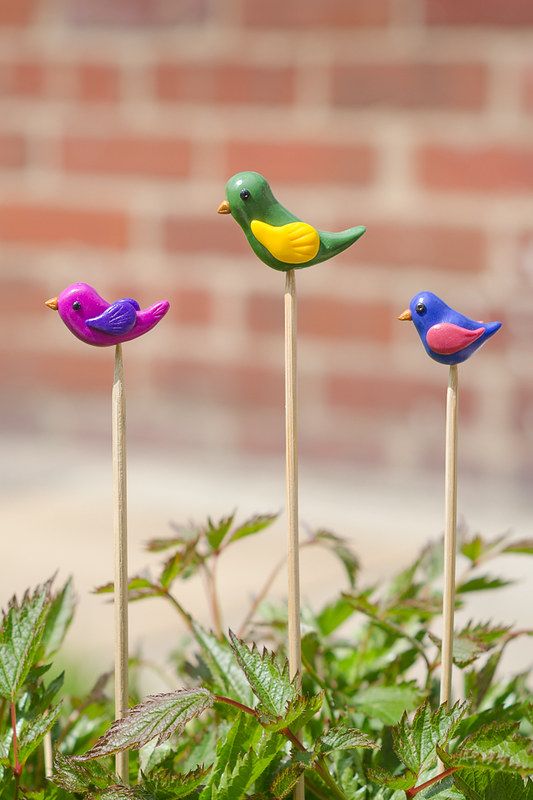 three colorful birds sitting on top of sticks in the grass next to some plants and flowers