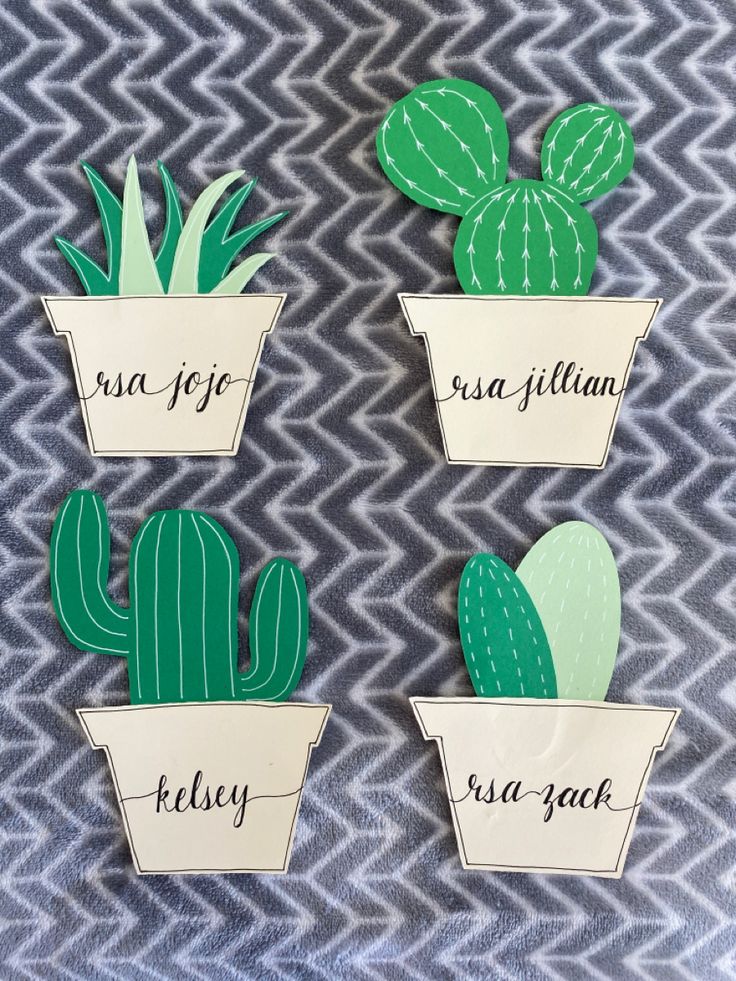 three cactus shaped magnets with the words succulenta and cacti on them