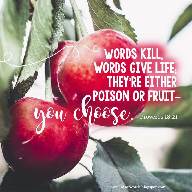 two apples hanging from a tree with the words, words kill words give life they're either poison or fruit - you choose