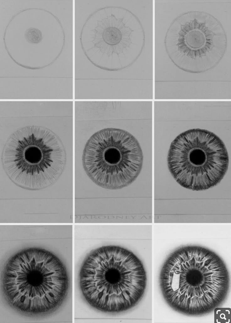 several different types of eyeballs are shown in black and white, each with an individual's iris