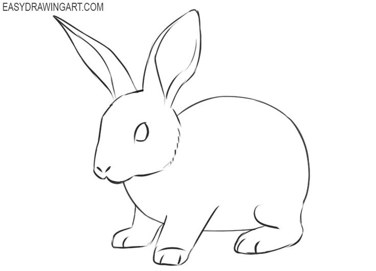 the outline of a rabbit sitting down with its head turned to look like it is facing forward