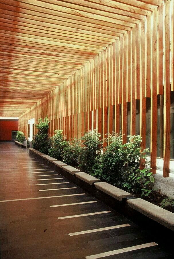 an empty walkway lined with trees and plants in front of a large wooden building that has vertical slats on the ceiling