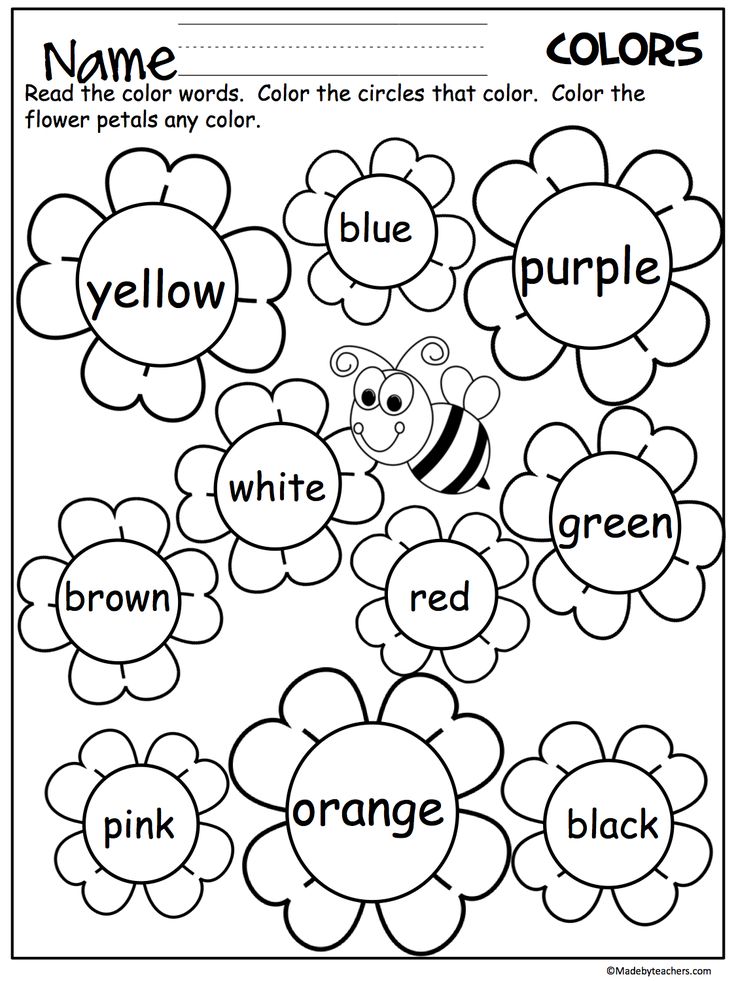 the color words worksheet for children to practice their handwriting and spelling with flowers