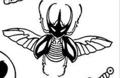 a black and white drawing of an insect with the words, i love bugs on it