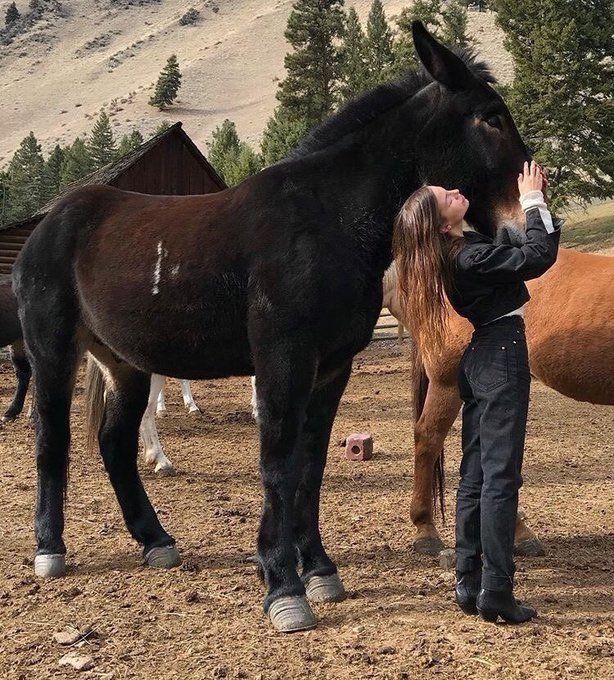 a woman standing next to two horses on top of a dirt field