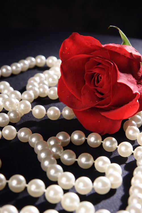 a red rose sitting on top of a white beaded necklace with pearls around it