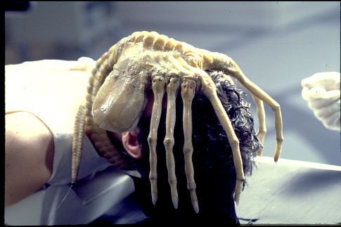 a man with his head covered in fake hair and monster like hands on top of his head