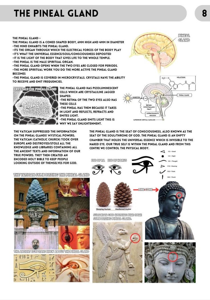 Esoteric Symbols Sacred Geometry, The Book Of Wisdom, My Manifestation, Book Of Wisdom, Logic And Critical Thinking, Tarot Interpretation, File Decoration Ideas, Esoteric Symbols, Sacred Science