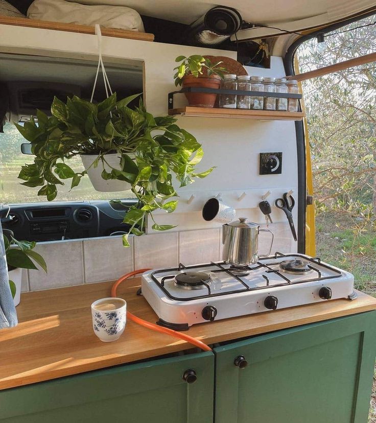 a stove top oven sitting inside of a kitchen next to a potted green plant