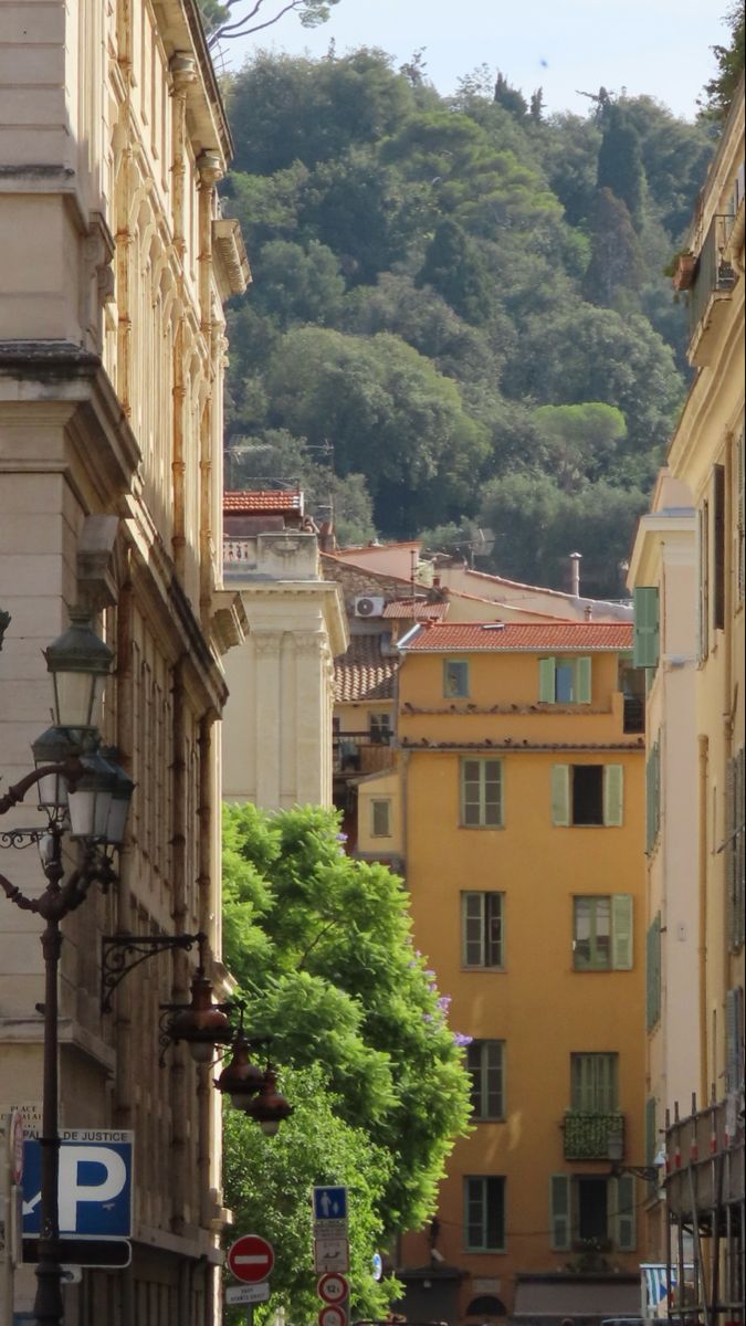 a city street lined with tall buildings and lots of trees on the side of it