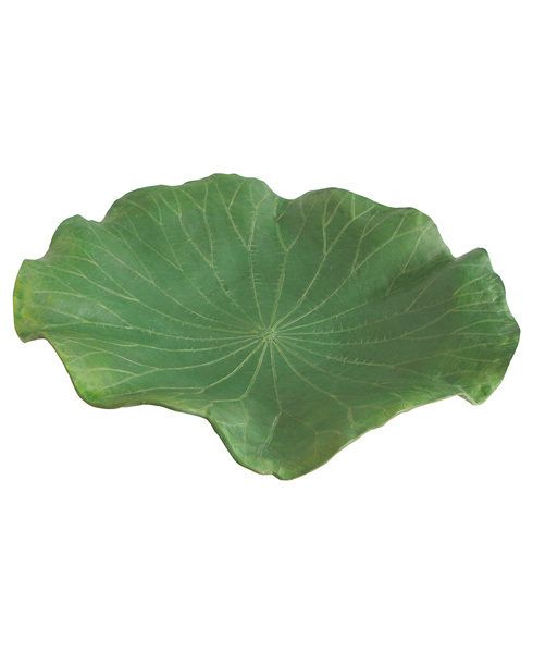 a large green leaf shaped dish on a white background