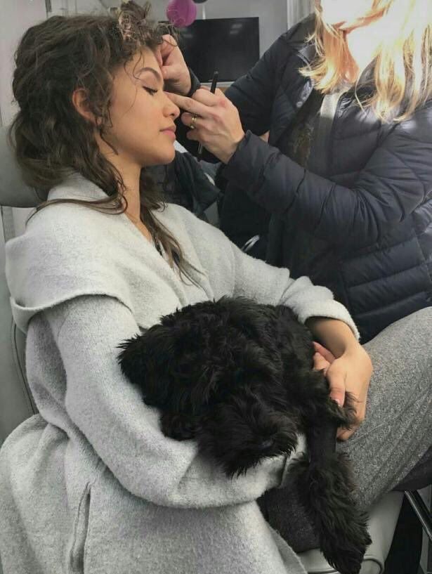 a woman is getting her hair done while sitting in a chair with a black dog