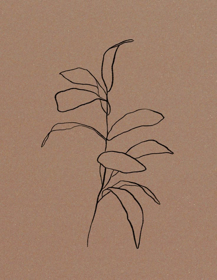 a black and white drawing of a plant on a brown background with the words, i love you