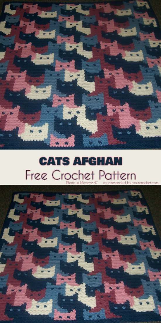 two pictures of cats afghans with the same pattern on each side and one in red, white and blue