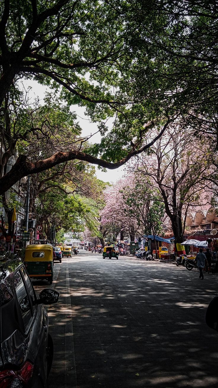 cars parked on the side of a street with trees lining both sides and people walking down the street