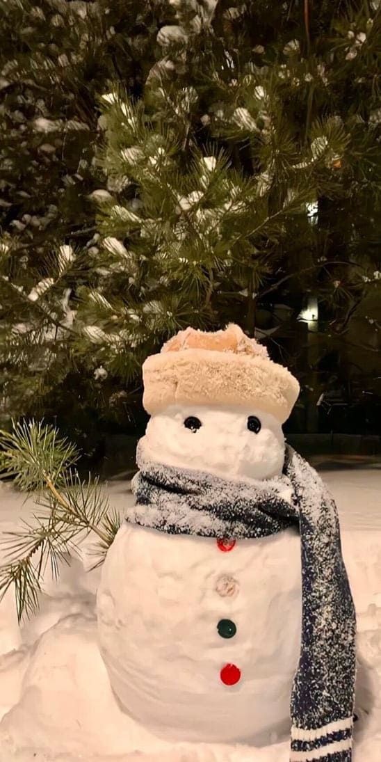 a snowman wearing a hat and scarf in the snow