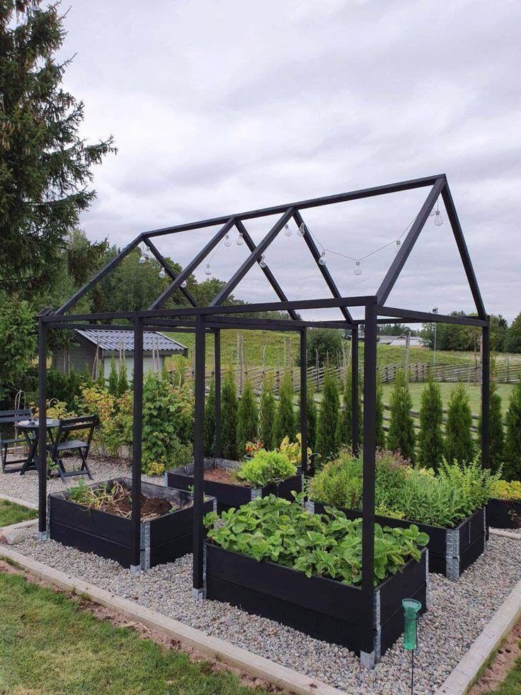 an outdoor garden area with various plants growing in the planter boxes and on the ground