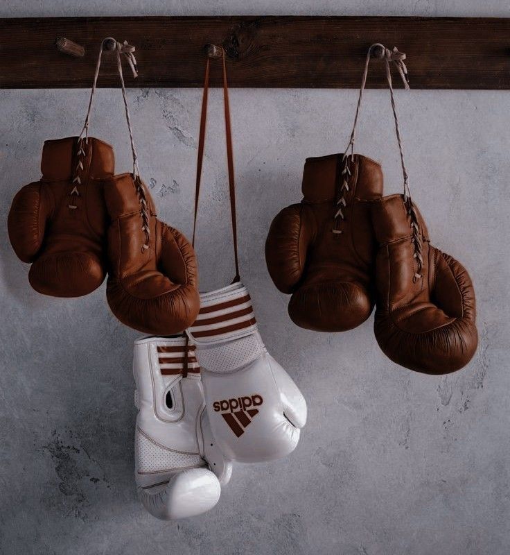 three boxing gloves hanging from hooks on a wall