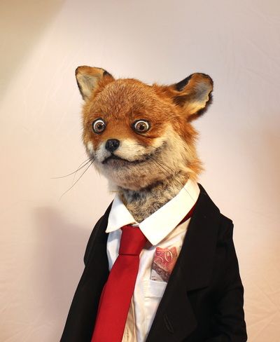 a stuffed animal dressed in a suit and red tie with big eyes, standing next to a white wall