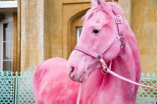 a pink horse standing in front of a building with a leash on it's neck