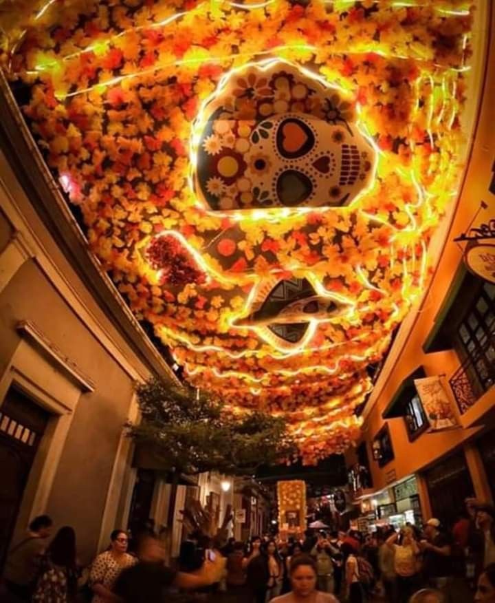 the ceiling is decorated with flowers and lights